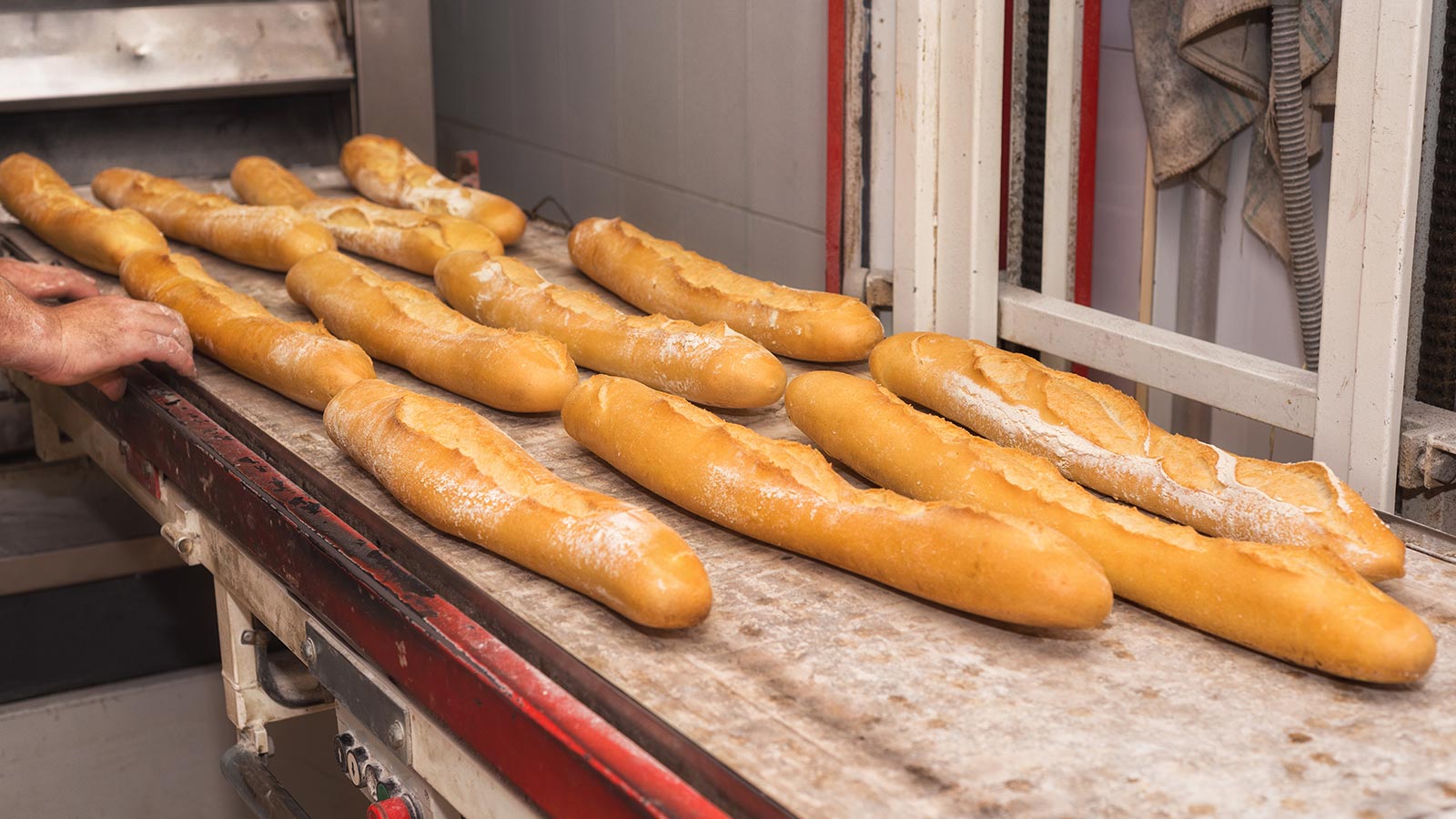 Cantidad de sal en el pan